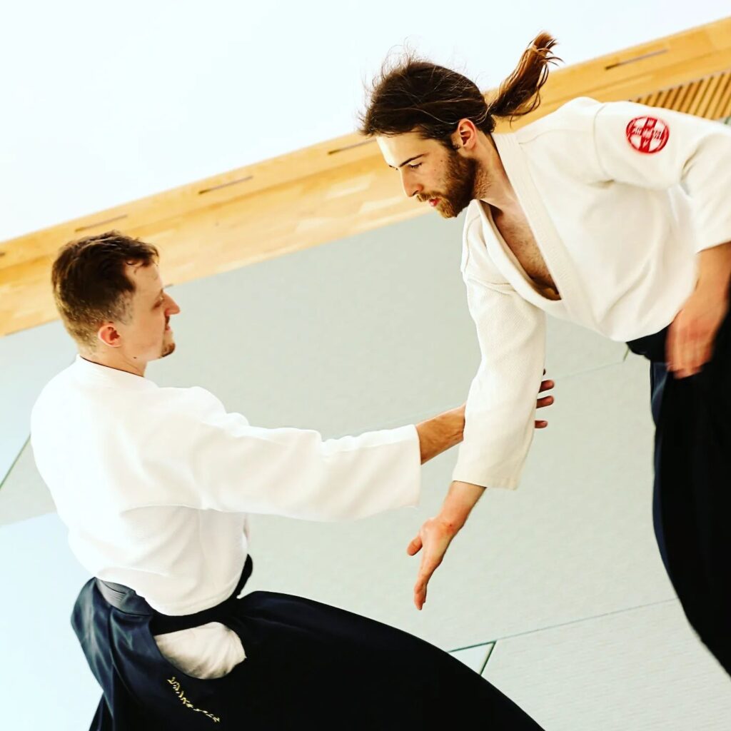 Aikido - The Grappling Art 3 Aikido