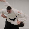 Aikido The Grappling Art