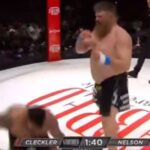 Roy Nelson stops Dillon Cleckler with first round KO Gamebred Bareknuckle MMA