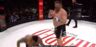 Roy Nelson stops Dillon Cleckler with first round KO Gamebred Bareknuckle MMA