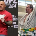 joe rogan