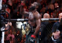Dana White threats interim title with Aljamain Sterling if' you're not healthy don't take the fight
