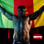 Francis Ngannou 'very close' to resigning with the UFC before moving to PFL