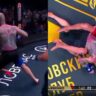 Emelianenko
