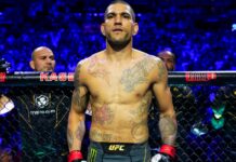 Alex Pereira issued warning of KO against Jan Blachowicz at UFC 291 he almost decapitates guys