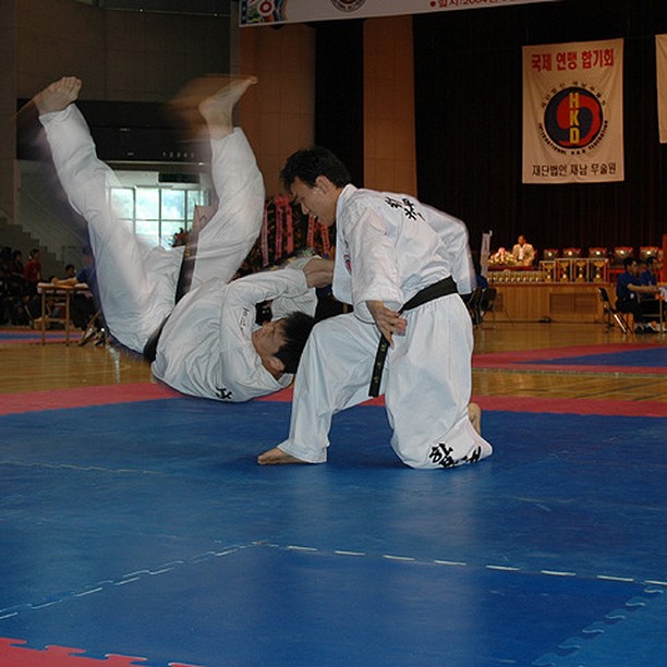 Hapkido - The Hybrid Korean Martial Art 2 Hapkido