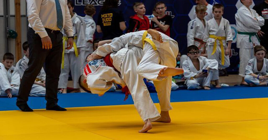 Judo Throws