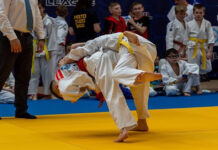 Judo Throws