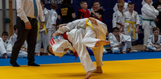Judo Throws