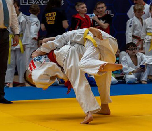 Judo Throws