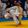 Judo Throws