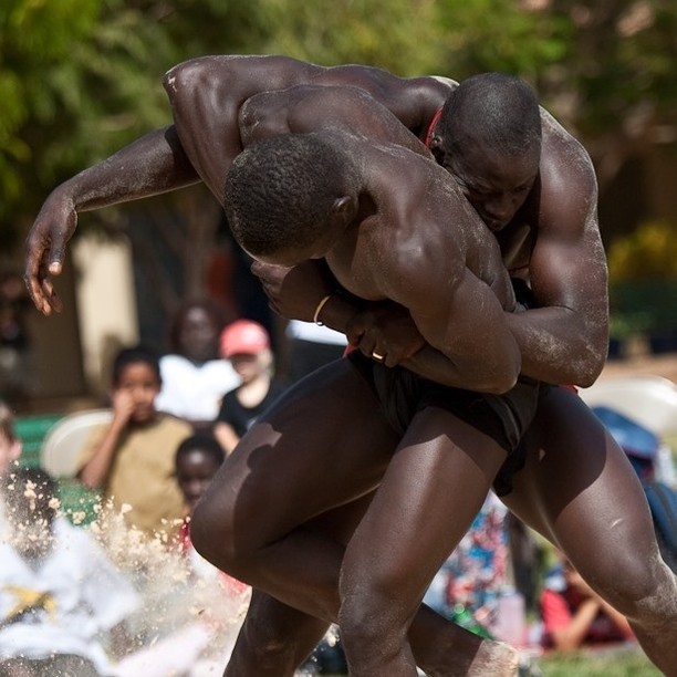 Laamb Wrestling