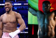 Anthony Joshua unmoved by gimmick fight with PFL signing Francis Ngannou dangerous