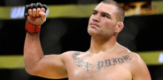 cain velasquez