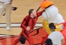 Conor McGregor punches out Miami Heat mascot during NBA Finals UFC