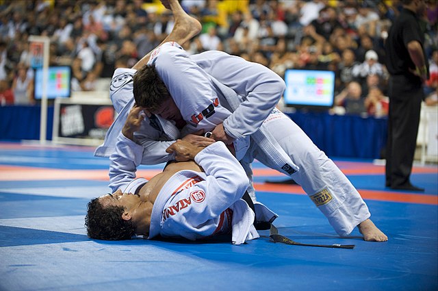 Best Martial Arts For Street Fight 5 BJJ