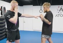 jake paul