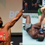 Demetrious Johnson Sean O'Malley Aljamain Sterling UFC 292