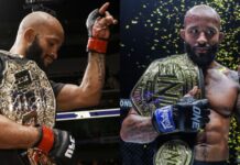 Demetrious Johnson