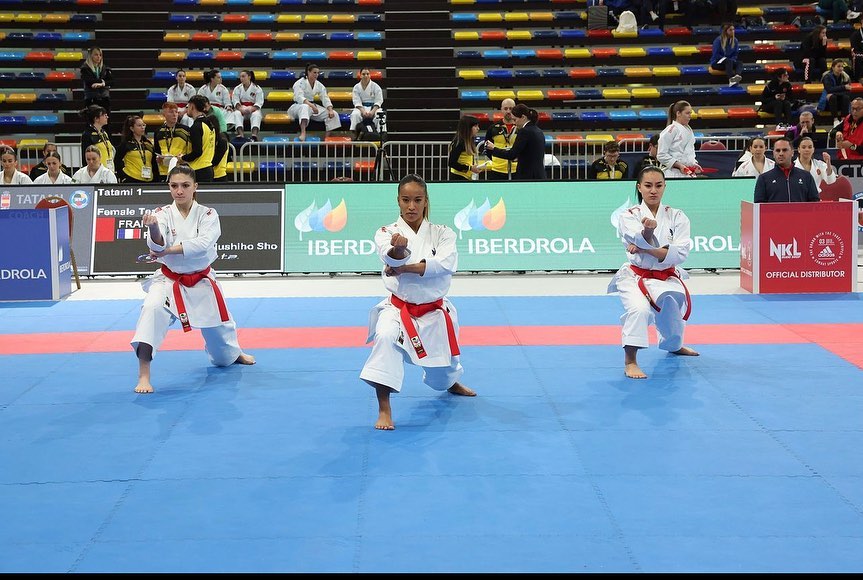 Close range stick fighting, South Africa, martial art