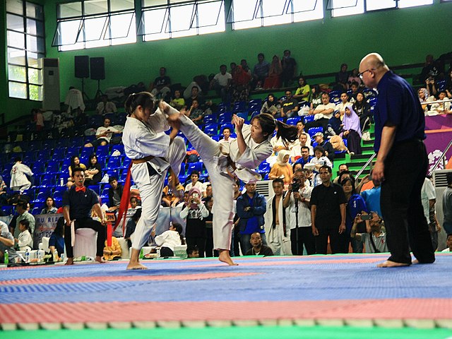 Best Martial Arts For Street Fight 3 Karate