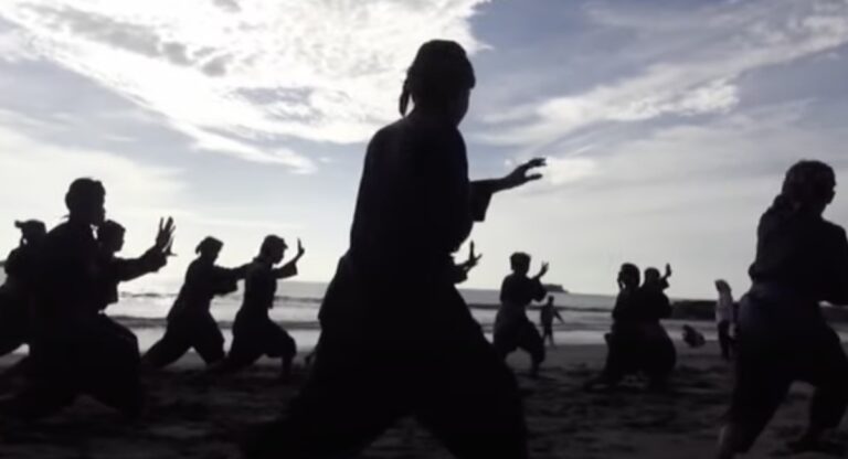 Pencak Silat: The Indonesian Martial Art