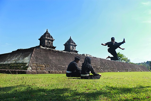 Pencak Silat Training