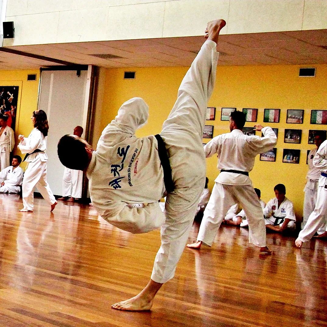 Tang Soo Do One Of The Traditional Korean Martial Arts