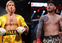 Logan Paul set to fight Dillon Danis in boxing match in October in Manchester