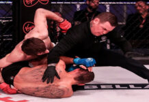 Best UFC Referees
