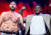 Tyson Fury warned Francis Ngannou would kill him in MMA fight who could stop him