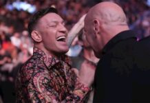 Conor McGregor expected to fight next year in UFC Dana White