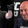Dana White