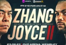 Zhilei Zhang vs. Joe Joyce 2 Betting Odds Start Time Streaming Details & Full Fight Card