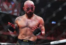 Alexander Volkanovski targets UFC 297 return in January sounds good to me