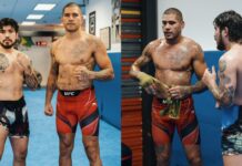 Dillon Danis