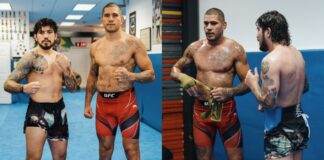 Dillon Danis