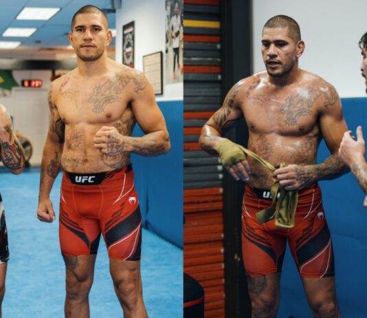 Dillon Danis