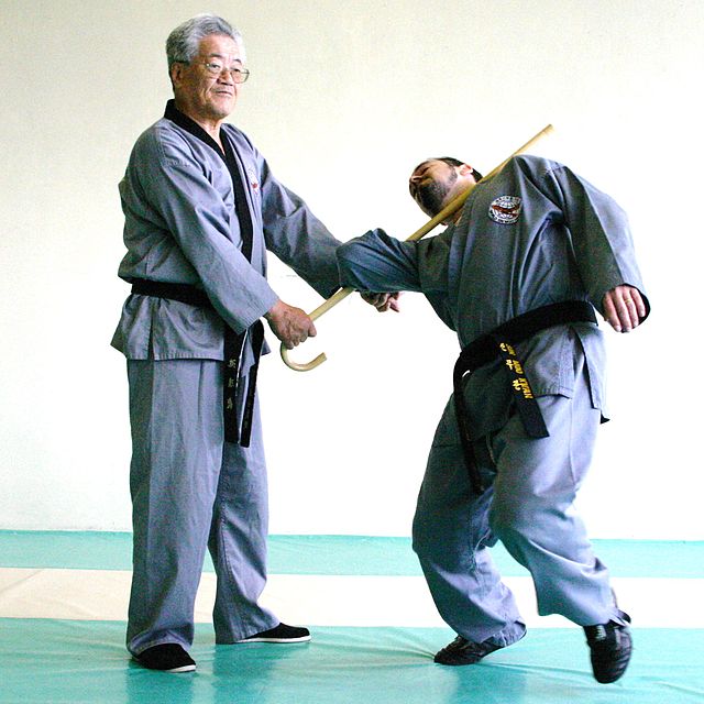 Taekwondo Weapons: Explained 3 Combat Cane