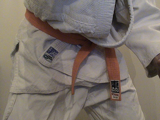 Martial Arts Belts & Ranking System 2 Judo Belt