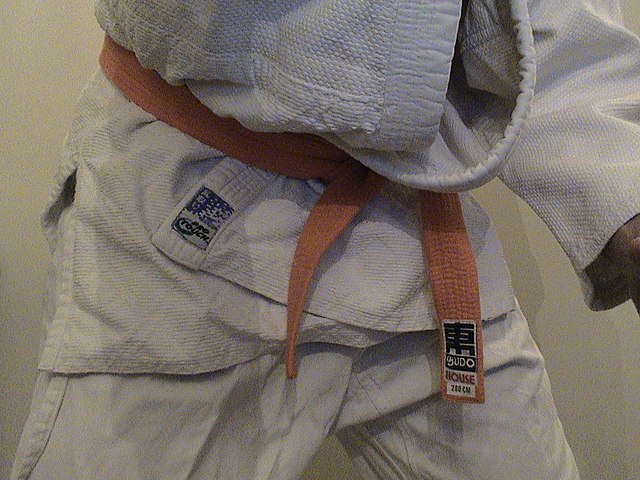 Judo Belt