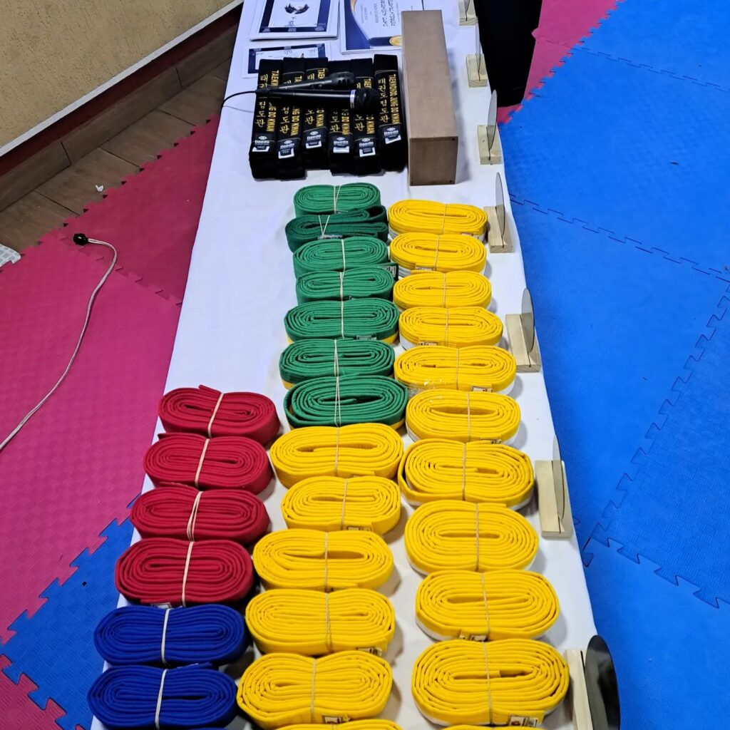 Different Color Taekwondo Belt