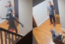 Alex Pereira almost knocks out son in home invasion prank UFC funny