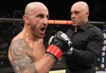 Alexander Volkanovski