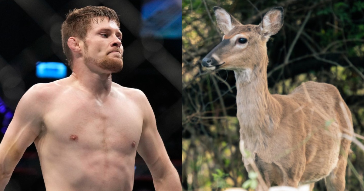 Bryce Mitchell claims he once choked a wild deer to death: 'I waited till it went back to sleep' 1 Bryce Mitchell