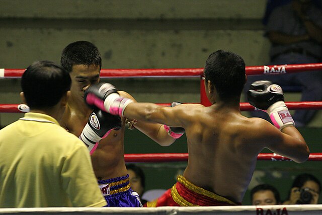 Muay Thai Punch