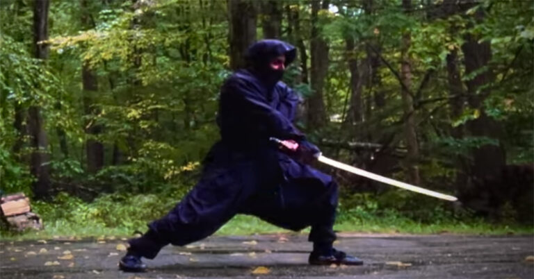 Ninjutsu: The Art of the Ninja