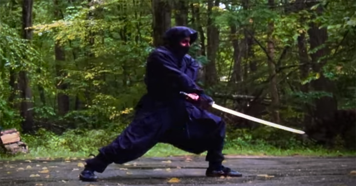 Ninjutsu The Art of the Ninja