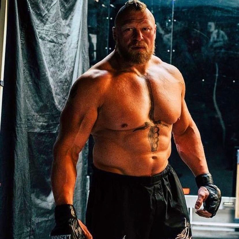Best Fighters From Minnesota 11 Brock Lesnar