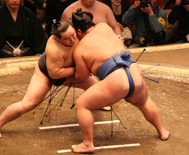 Sumo Wrestling: Everything You Need To Know 2 Sumo Wrestlers